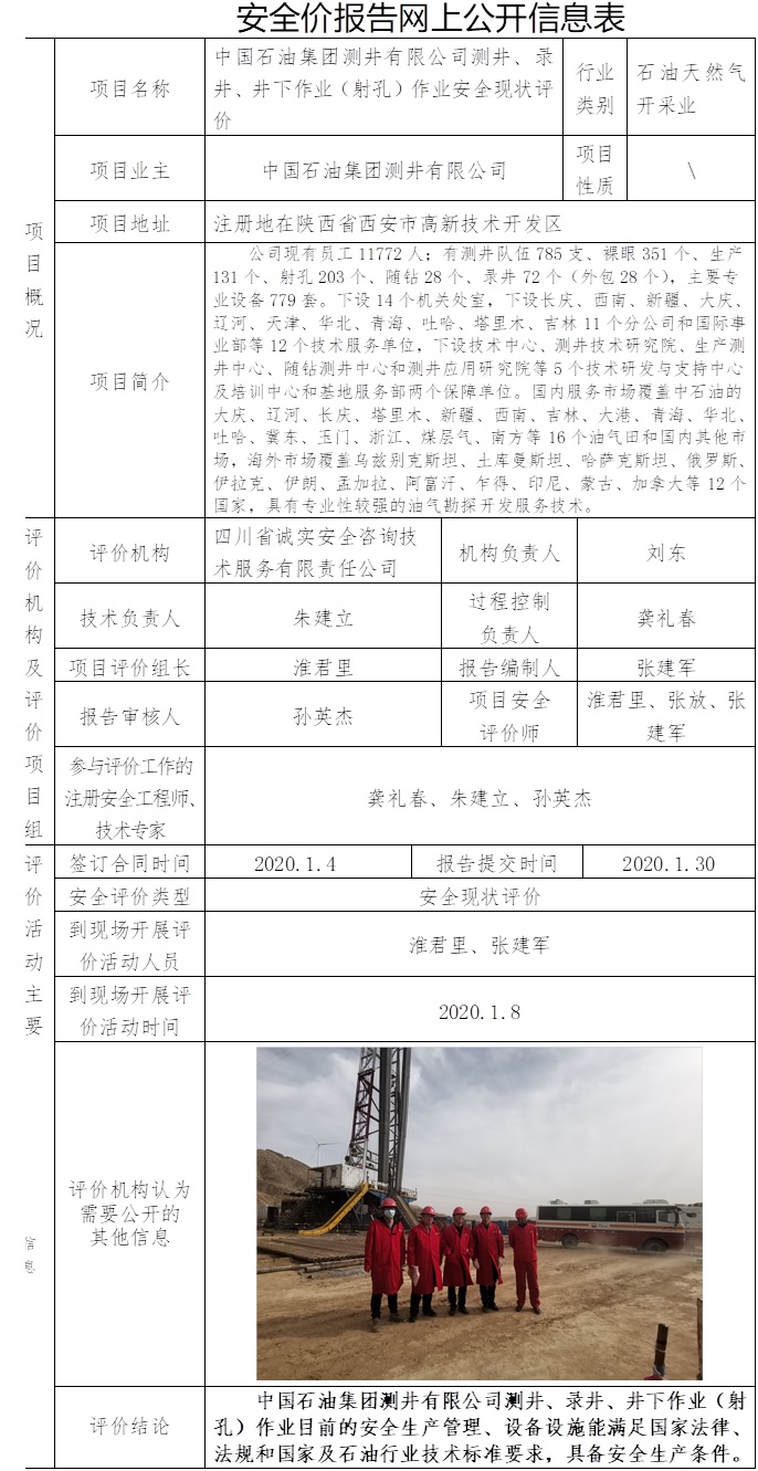 中國(guó)石油集團(tuán)測(cè)井有限公司測(cè)井、錄井、井下作業(yè)（射孔）作業(yè)安全現(xiàn)狀評(píng)價(jià).jpg