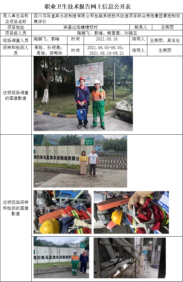四川雙馬宜賓水泥制造有限公司包裝系統技術改造項目職業病危害因素控制效果評價.jpg