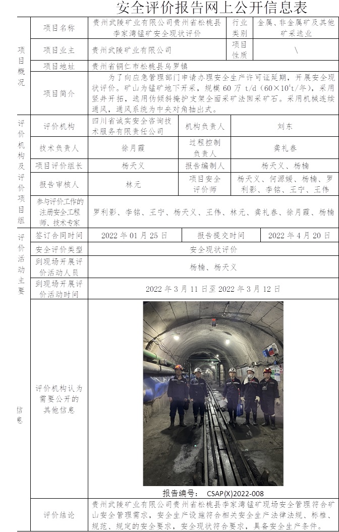 貴州武陵礦業有限公司貴州省松桃縣李家灣錳礦安全現狀評價.jpg