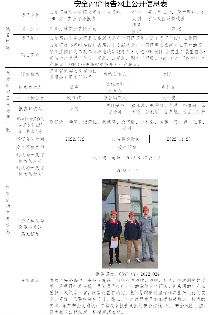 四川萬陸實業(yè)有限公司年產(chǎn)8萬噸NMP項目安全評價.jpg