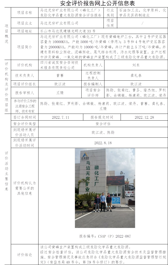 馬邊無窮礦業有限公司（磷化工廠）危險化學品重大危險源安全評估.jpg