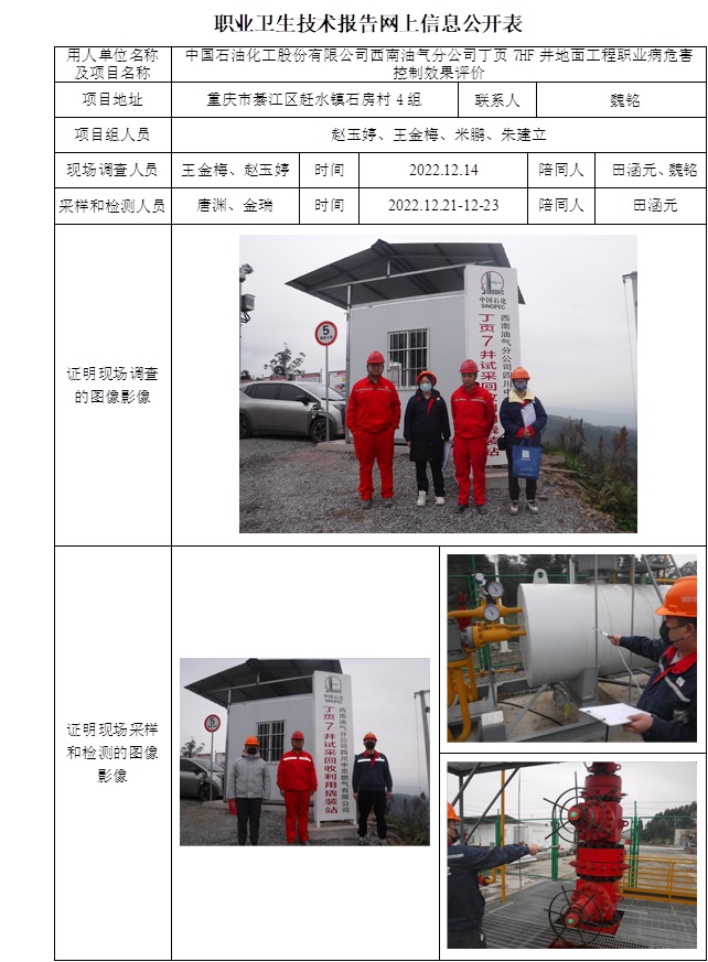 中國石油化工股份有限公司西南油氣分公司丁頁7HF井地面工程職業病危害控制效果評價.jpg
