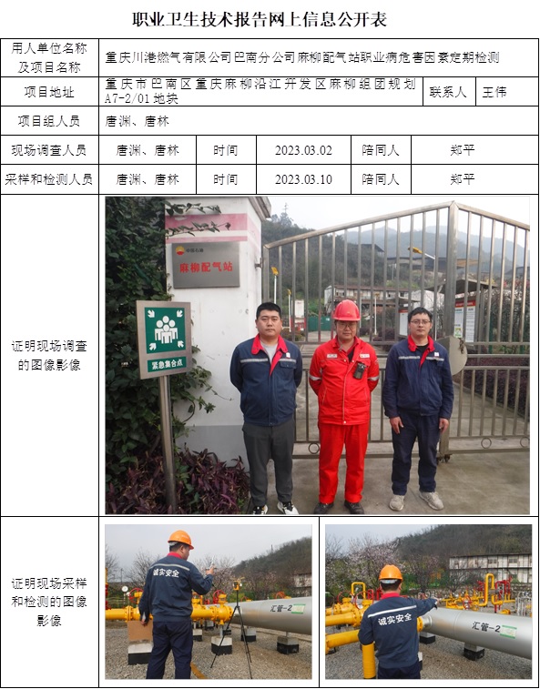 CSZJ（D）2023-013重慶川港燃?xì)庥邢薰景湍戏止韭榱錃庹?jpg