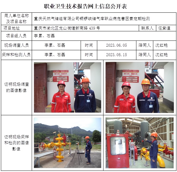 CSZJ（D）2023-109 重慶天然氣儲運有限公司-銅鑼峽儲氣庫網上公示信息.jpg