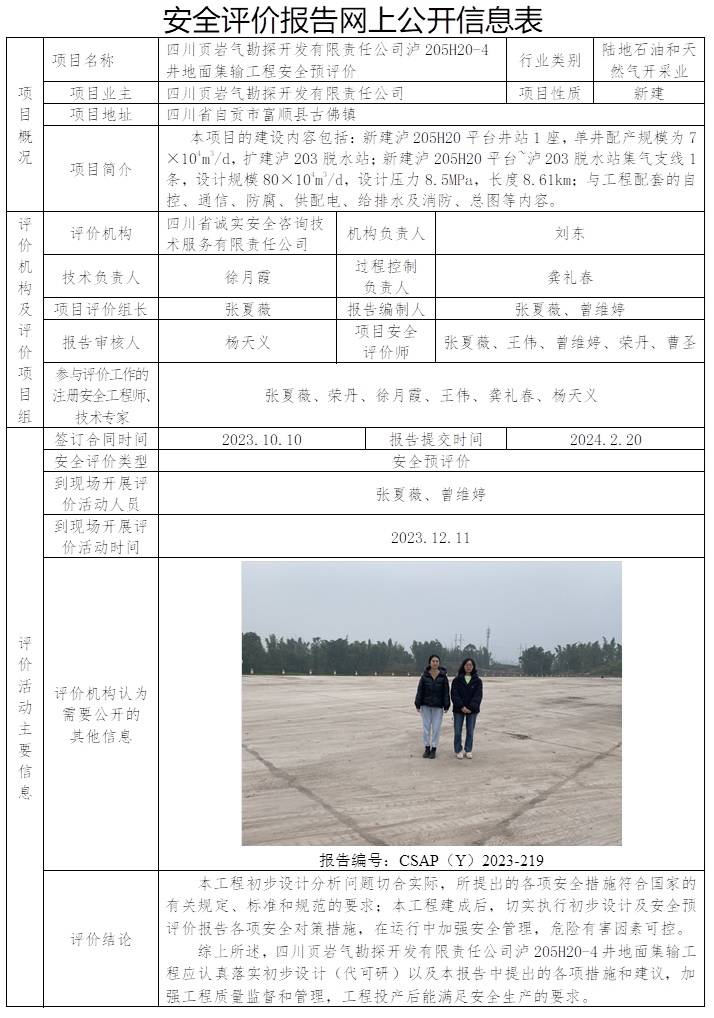 CSAP（Y）2023-219 四川頁巖氣勘探開發(fā)有限責(zé)任公司瀘205H20-4井地面集輸工程安全預(yù)評(píng)價(jià)報(bào)告.jpg