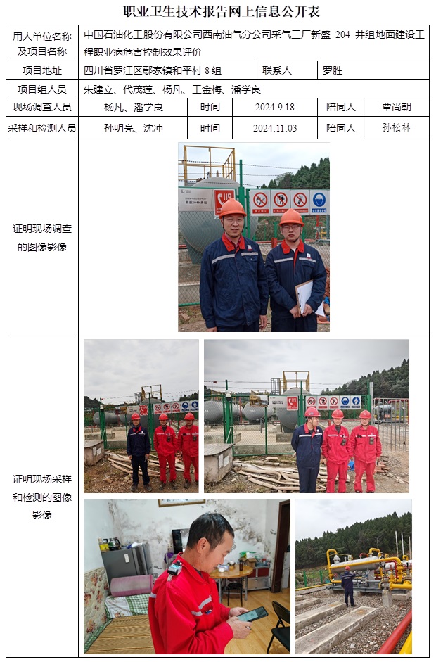 CSZP（K）2024-041 中國(guó)石油化工股份有限公司西南油氣分公司采氣三廠新盛204井組地面建設(shè)工程.jpg