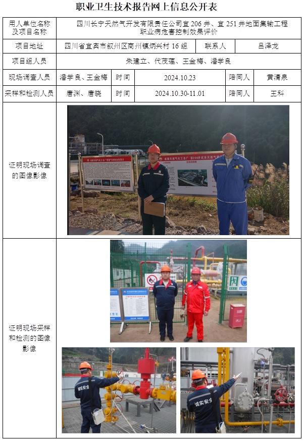 CSZP（K）2023-049 四川長寧天然氣開發有限責任公司宜206井、宜251井地面集輸工程（24.12底 2024.12.5出版）.jpg