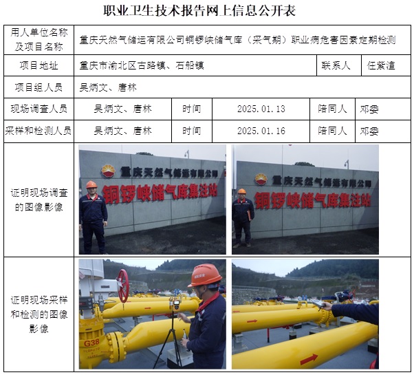 CSZJ（D）2025-002 重慶天然氣儲運有限公司-銅鑼峽儲氣庫（25.4.21出版  5月中旬）.jpg